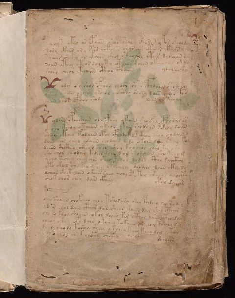 Folio 1r, a dense manuscript text page with small pale green and red painted forms among the lines.