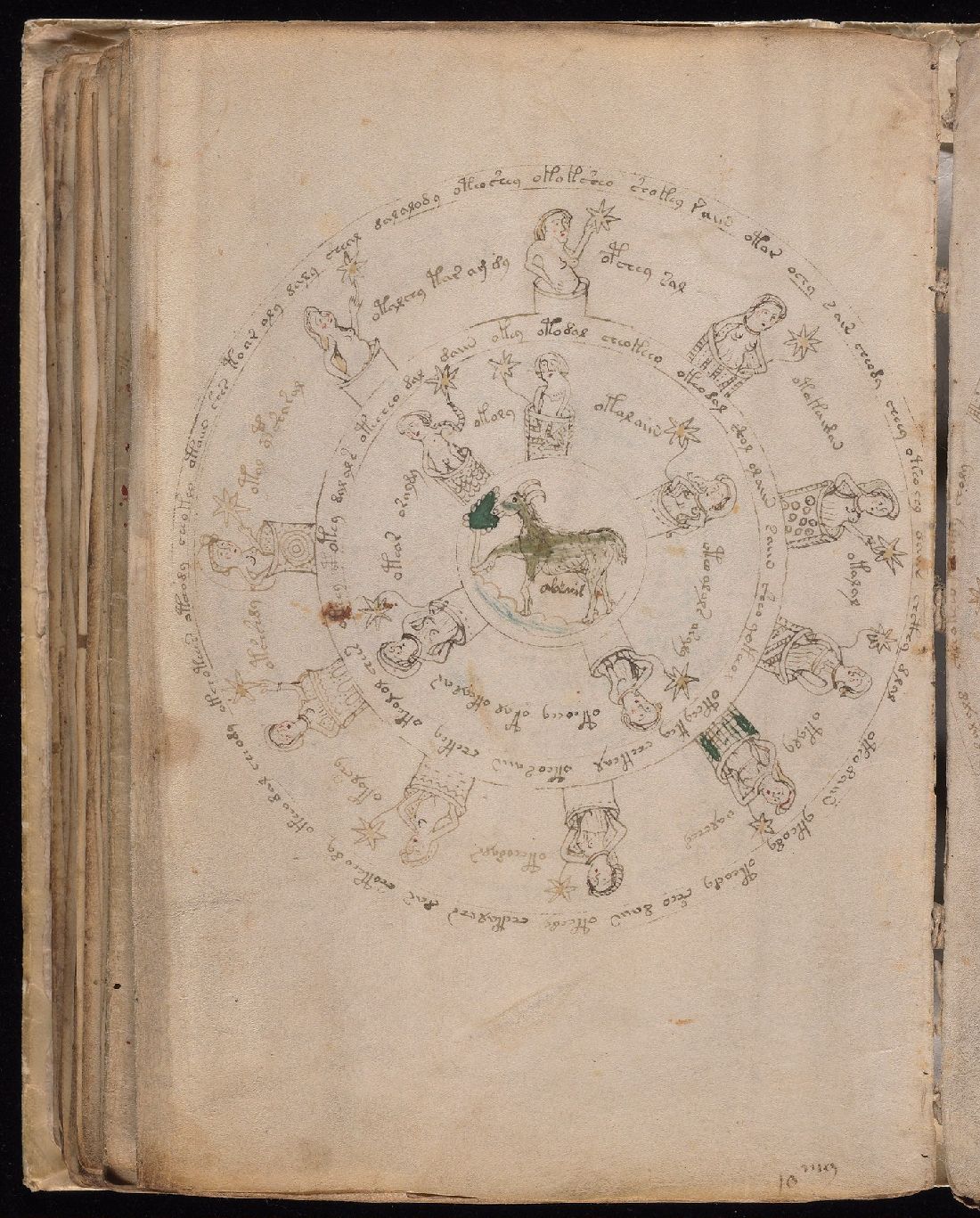 Second scan of the folio 70 verso foldout, with ringed figures and script.