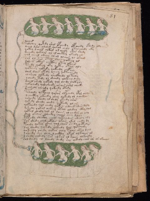 Folio 81r, with figures in long green pools above and below a central block of script.