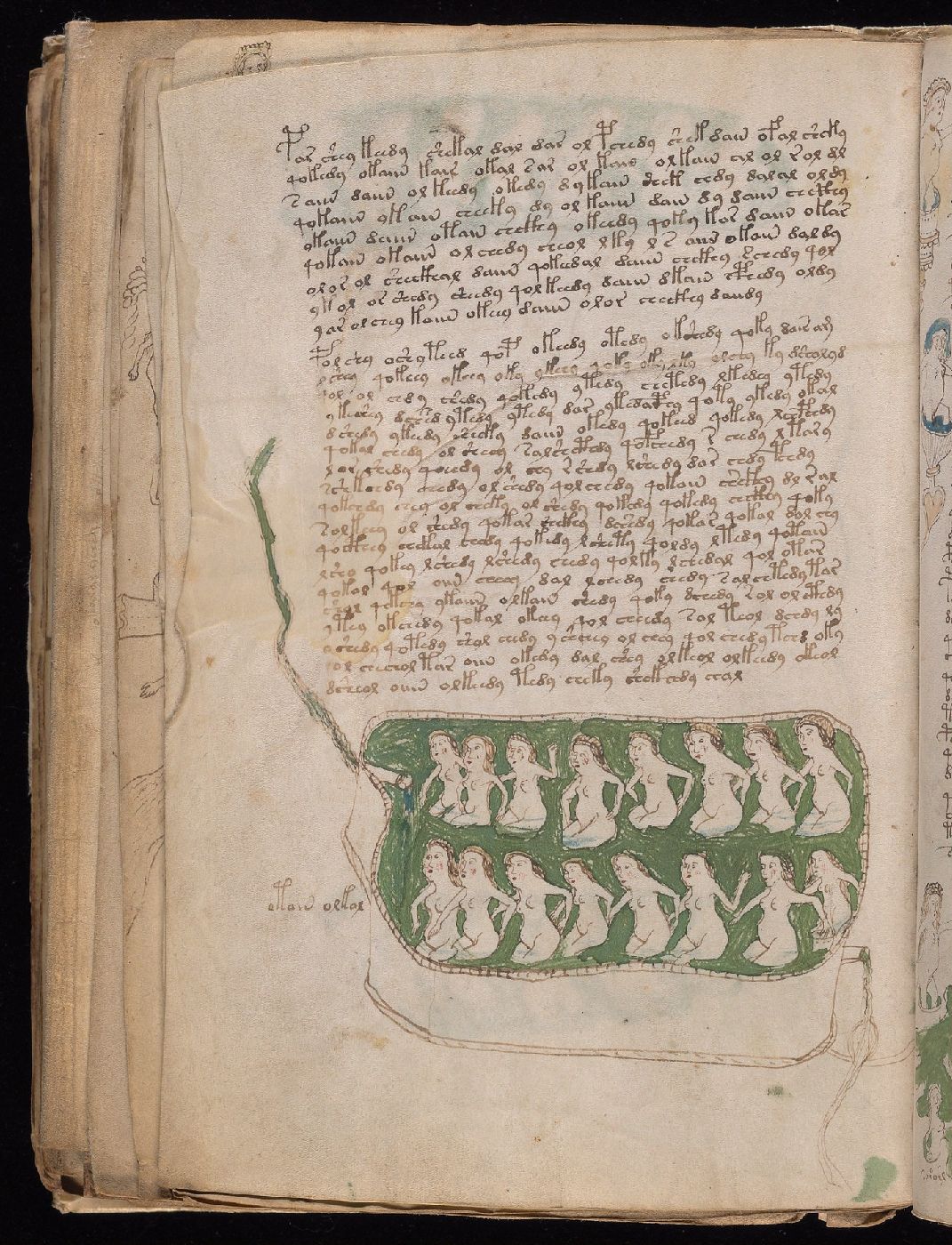 Folio 81v, with figures, green pools, connecting forms, and script.