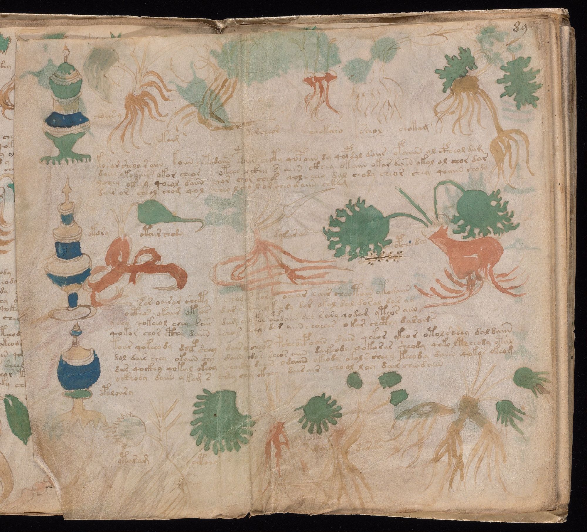 Wide folio 89r foldout with two panels of separate vessels, roots, leaves, plant parts, labels, and prose blocks.